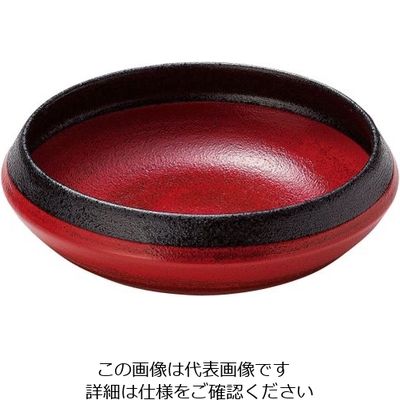 ミヤザキ食器 ごはんプレート 根来 GP1601NE 62-6839-99 1枚（直送品）