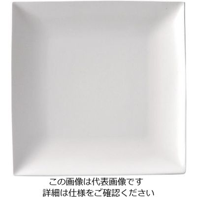 ミヤザキ食器 スパッツィオ スクエア プレート 白 (L)10 1/2インチ 62-6840-19 1枚（直送品）