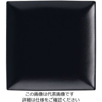 ミヤザキ食器 スパッツィオ スクエア プレート 黒 (L)10 1/2インチ 62-6840-23 1枚（直送品）