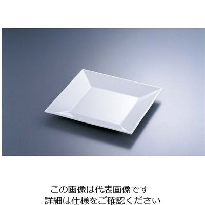 遠藤商事 20cmプレート 62-6840-76 1枚（直送品）