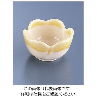 遠藤商事 黄花小付 62-6842-76 1個（直送品）