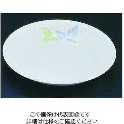 遠藤商事 キューセラ洋ぶどうシリーズ 和皿 22cm 62-6857-05 1枚（直送品）