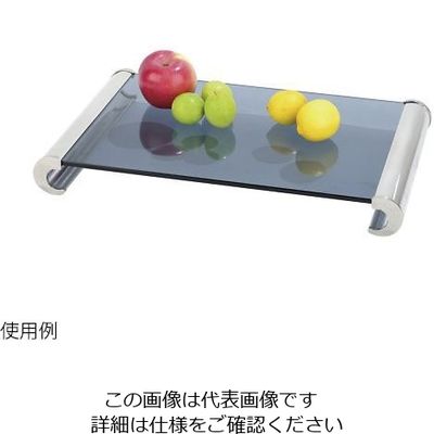 遠藤商事 KINGO グラスディスプレイプレート L 63-1260-67 1個（直送品）