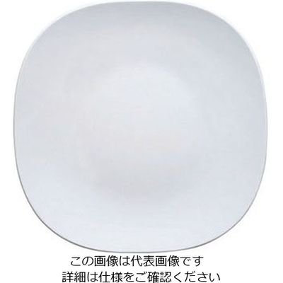 台和 カフェプレートセレクション 26cmスクウェアプレート SSー10 白(W) 319355 1個 63-1726-73（直送品）