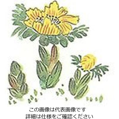 マイン 耐油懐敷 15角 福寿草 1000枚入 C30ー390 295217 1枚(1000枚) 63-1768-23（直送品）