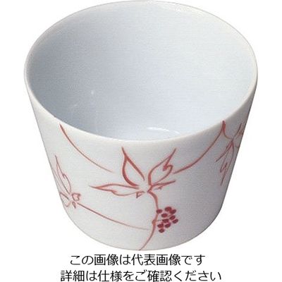 遠藤商事 そば千代口 うこぎ(赤) 2702-472 1個 63-5713-63（直送品）