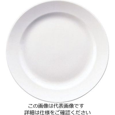 ウェッジウッド ホワイトコノート フラットプレート 23cm 3107 1個 63-5719-62（直送品）