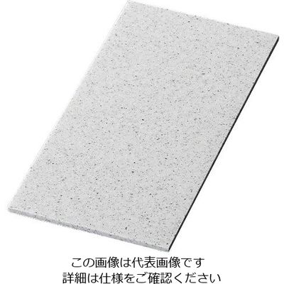 アズワン ライクストーン スリムレクタングルプレート M 溶岩石 1202403 1個 63-7191-10（直送品）