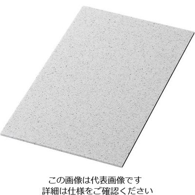 アズワン ライクストーン レクタングルプレート 溶岩石 1202341 1個 63-7191-16（直送品）