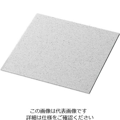 アズワン ライクストーン スクウェアプレート M 溶岩石 1202405 1個 63-7191-19（直送品）