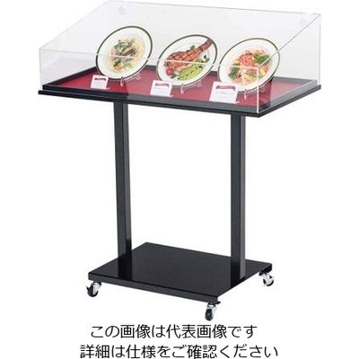 友屋 サンプルケーススタンド ワイド 56997 63-7216-15 1個（直送品）