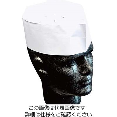 Pal フォレージュハット 無地(100枚入)A92000C 63-7225-98 1枚(100枚)（直送品）