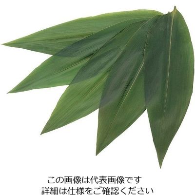 江部松商事 天然笹葉(100枚入)5120 7S 63-7230-34 1枚(100枚)（直送品）
