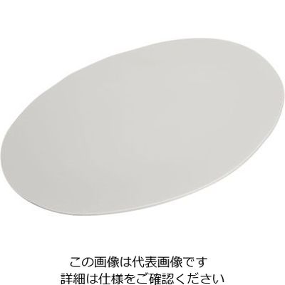 カーライルフードサービスプロダクツ リッジ・ディナーウェア リムレスプレート セメント 53104 1個 64-4205-16（直送品）