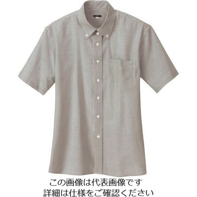 アイトス レディース半袖オックスボタンダウンシャツ グレーストライプ L 7873-104-L 1着 143-9439（直送品）