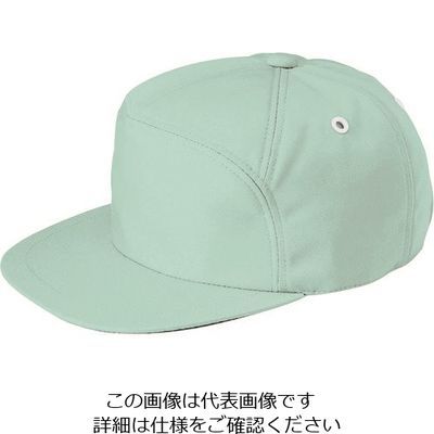 アイトス アポロキャップクリーンアースL 8617-005-L 1着 212-9695（直送品）