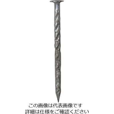 DAIDОHANT HP ステンスクリュー釘 丸頭 4.0×100 3本入 10186690 1セット(15本:3本×5パック)（直送品）