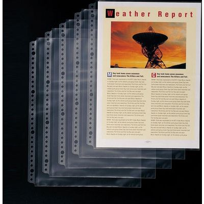 テージー クリアポケットリフィルサイドイン PS-340E　1冊（直送品）