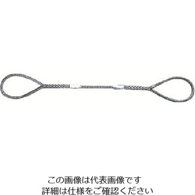 日興製綱 NIKKO Wスリング(裸) 全長4.0m スリング径22mm W22-4H 1セット(2本) 815-7452（直送品）