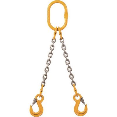 象印 チェーンスリング100(アイタイプ) ラッチ付き 使用荷重1.7t(2ーMFFーYPー6.3) 2-MFF-YP-6.3 1本（直送品）