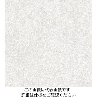 スリーエム ジャパン 3M ダイノックフィルム AEー1634 1220mmX50m AE1634 1巻 104-6823（直送品）