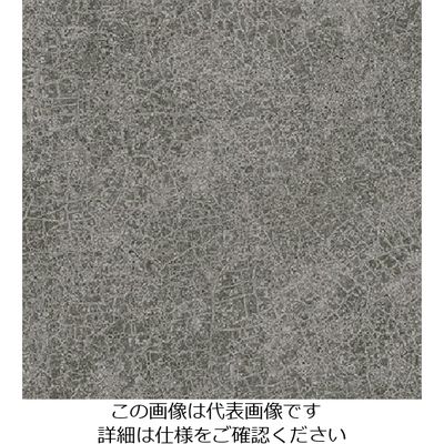 スリーエム ジャパン 3M ダイノックフィルム AEー1635 1220mmX50m AE1635 1巻 103-5772（直送品）