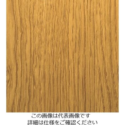 スリーエム ジャパン 3M ダイノックフィルム FWー1286 1220mmX50m FW1286 1巻 104-8397（直送品）