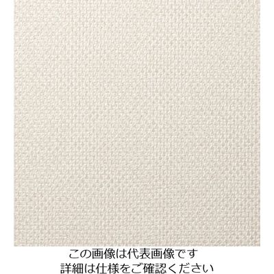 スリーエム ジャパン 3M ダイノックフィルム FEー813 1220mmX50m FE813 1巻 102-9451（直送品）