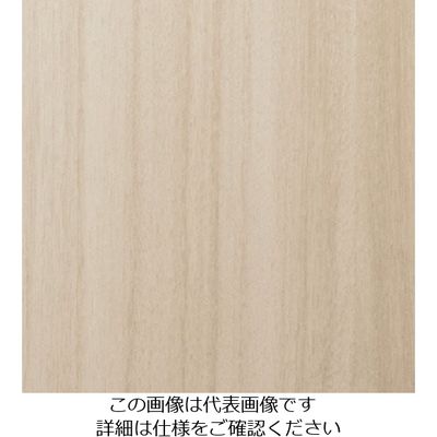 スリーエム ジャパン 3M ダイノックフィルム FWー1207 1220mmX50m FW1207 1巻 103-2621（直送品）