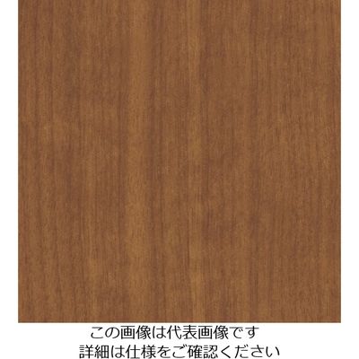 スリーエム ジャパン 3M ダイノックフィルム FWー233 1220mmX50m FW233 1巻 103-5778（直送品）