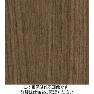 スリーエム ジャパン 3M ダイノックフィルム FWー1021 1220mmX50m FW1021 1巻 104-9916（直送品）