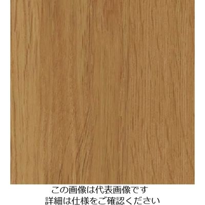 スリーエム ジャパン 3M ダイノックフィルム FWー1257 1220mmX50m FW1257 1巻 104-5248（直送品）