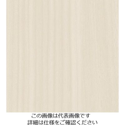 スリーエム ジャパン 3M ダイノックフィルム WGー1705 1220mmX50m WG1705 1巻 104-0796（直送品）