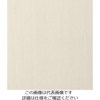 スリーエム ジャパン 3M ダイノックフィルム WGー1709 1220mmX50m WG1709 1巻 104-2332（直送品）