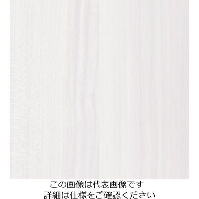 スリーエム ジャパン 3M ダイノックフィルム WGー1067 1220mmX50m WG1067 1巻 104-8687（直送品）