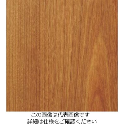 スリーエム ジャパン 3M ダイノックフィルム WGー865 1220mmX50m WG865 1巻 104-3972（直送品）