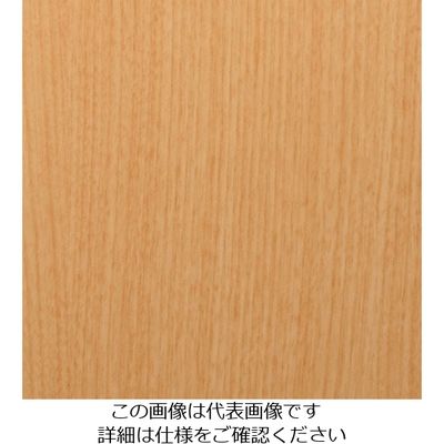 スリーエム ジャパン 3M ダイノックフィルム WGー877 1220mmX50m WG877 1巻 104-5494（直送品）