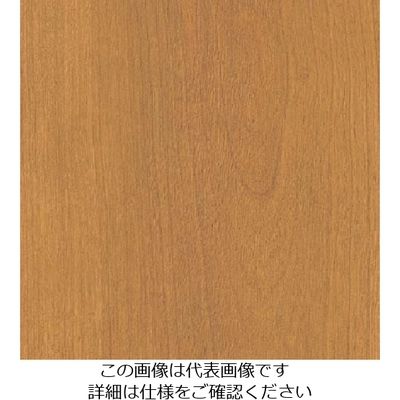 スリーエム ジャパン 3M ダイノックフィルム WGー1058 1220mmX50m WG1058 1巻 104-3895（直送品）