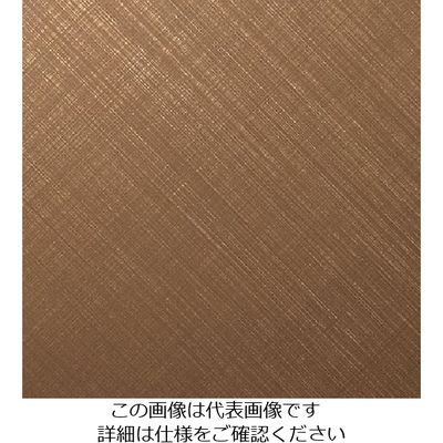 スリーエム ジャパン 3M ダイノックフィルム VMー1487 1220mmX25m VM1487 1巻 104-0842（直送品）