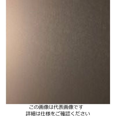 スリーエム ジャパン 3M ダイノックフィルム VMー305 1220mmX25m VM305 1巻 103-9210（直送品）