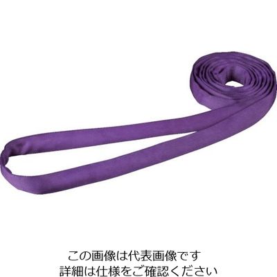 田村総業 田村 ラウンドスリング SSタイプ HN-W010×2.5m 紫色 HNW0100250 1本 857-4943（直送品）