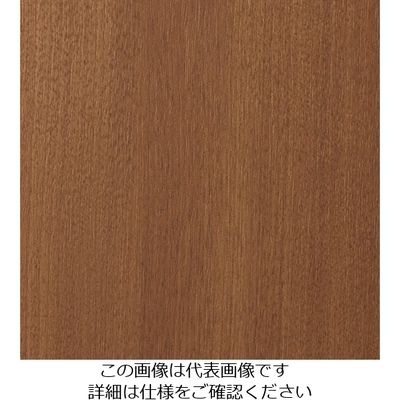 スリーエム ジャパン 3M ダイノックフィルム FWー1738 1220mmX50m FW1738 1巻 103-2645（直送品）