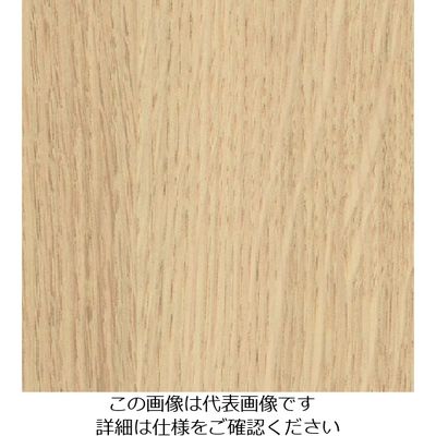 スリーエム ジャパン 3M ダイノックフィルム FWー1129 1220mmX50m FW1129 1巻 103-2691（直送品）