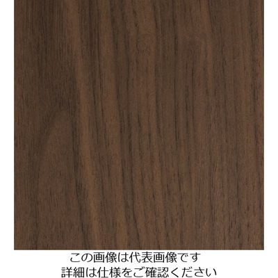 スリーエム ジャパン 3M ダイノックフィルム FWー1744 1220mmX50m FW1744 1巻 103-4263（直送品）