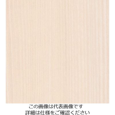 スリーエム ジャパン 3M ダイノックフィルム FWー1138 1220mmX50m FW1138 1巻 103-2697（直送品）