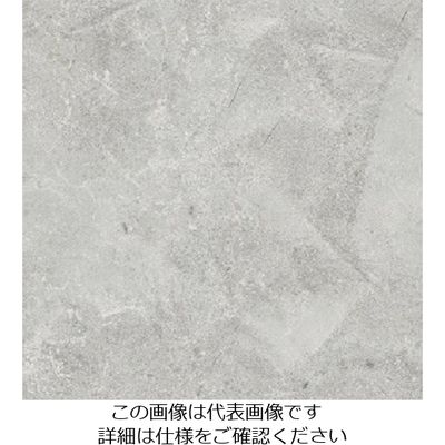 スリーエム ジャパン 3M ダイノックフィルム AEー1638 1220mmX50m AE1638 1巻 103-2684（直送品）