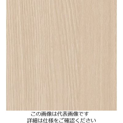 スリーエム ジャパン 3M ダイノックフィルム WGー960 1220mmX50m WG960 1巻 104-3999（直送品）