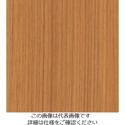 スリーエム ジャパン 3M ダイノックフィルム FWー1123 1220mmX50m FW1123 1巻 103-2626（直送品）