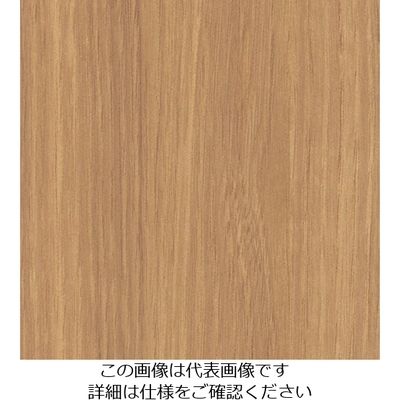 スリーエム ジャパン 3M ダイノックフィルム FWー1122 1220mmX50m FW1122 1巻 104-9956（直送品）