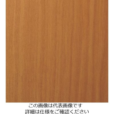 スリーエム ジャパン 3M ダイノックフィルム FWー795 1220mmX50m FW795 1巻 103-2668（直送品）